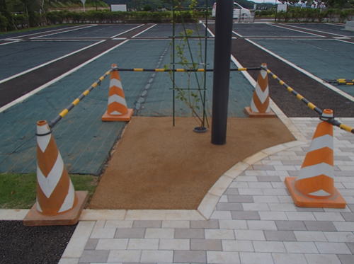 エコグローブ敷設後